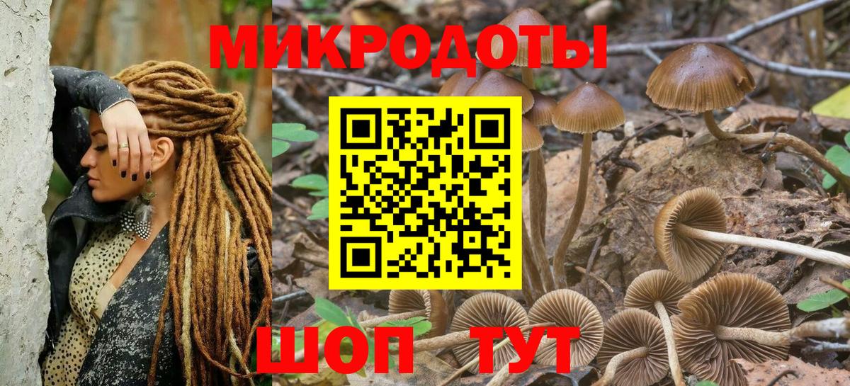 Псилоцибиновые грибы ЛСД  сколько стоит  Вход с VPN  Нововоронеж  Псилоцибиновые грибы GOLDEN TEACHER 
